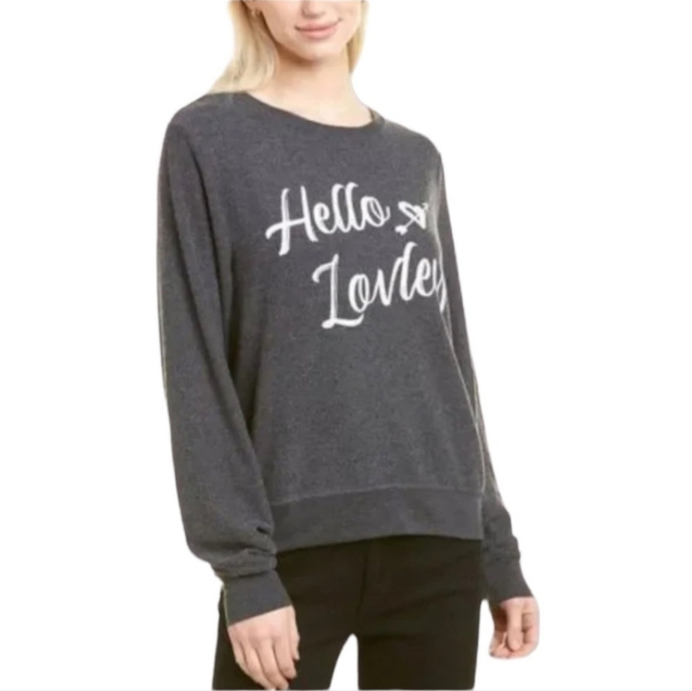 new ✨️ wildfox hello lovely baggy sweater